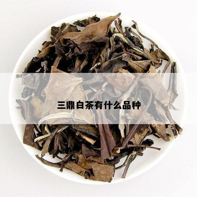 三鼎白茶有什么品种