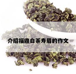 介绍福鼎白茶寿眉的作文