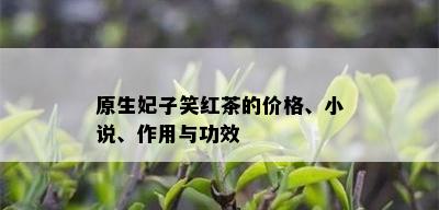 原生妃子笑红茶的价格、小说、作用与功效