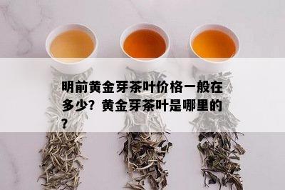 明前黄金芽茶叶价格一般在多少？黄金芽茶叶是哪里的？