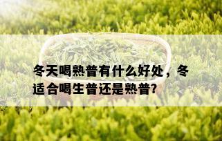 冬天喝熟普有什么好处，冬适合喝生普还是熟普？