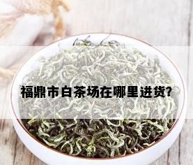 福鼎市白茶场在哪里进货？