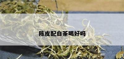 陈皮配白茶喝好吗