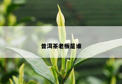 普洱茶老板是谁