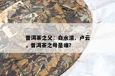 普洱茶之父：白水清、卢云，普洱茶之母是谁？