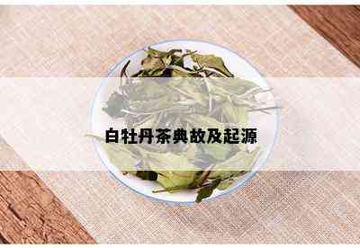 白牡丹茶典故及起源