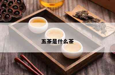 五茶是什么茶