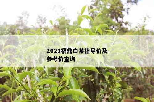 2021福鼎白茶指导价及参考价查询