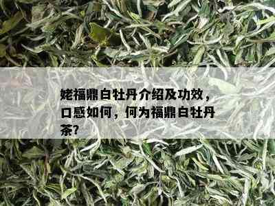 姥福鼎白牡丹介绍及功效，口感如何，何为福鼎白牡丹茶？