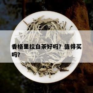 香格里拉白茶好吗？值得买吗？