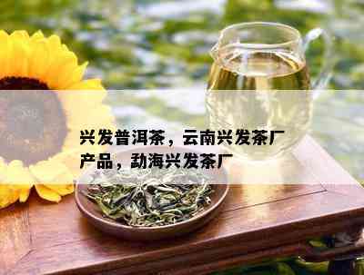 兴发普洱茶，云南兴发茶厂产品，勐海兴发茶厂