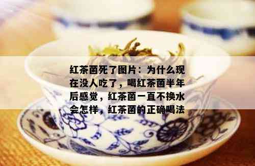 红茶菌死了图片：为什么现在没人吃了，喝红茶菌半年后感觉，红茶菌一直不换水会怎样，红茶菌的正确喝法