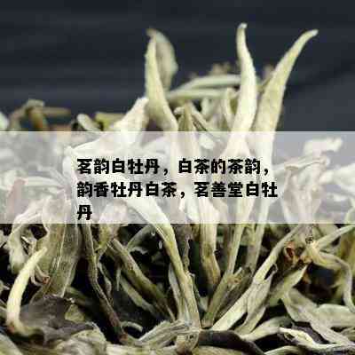 茗韵白牡丹，白茶的茶韵，韵香牡丹白茶，茗善堂白牡丹