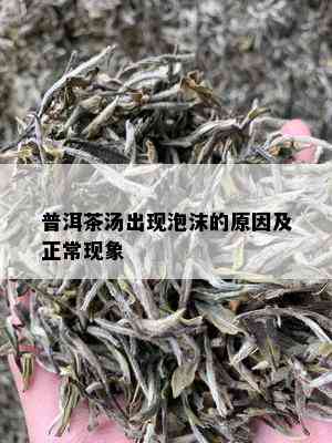 普洱茶汤出现泡沫的原因及正常现象