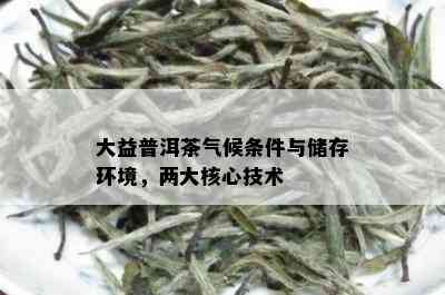 大益普洱茶气候条件与储存环境，两大核心技术