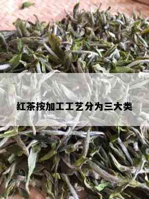 红茶按加工工艺分为三大类