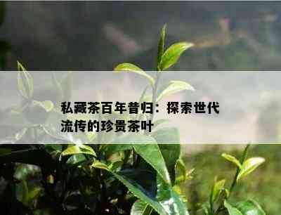 私藏茶百年昔归：探索世代流传的珍贵茶叶