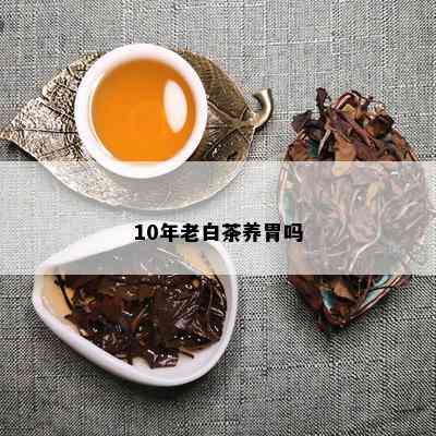 10年老白茶养胃吗