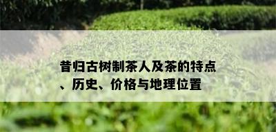 昔归古树制茶人及茶的特点、历史、价格与地理位置