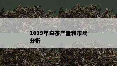 2019年白茶产量和市场分析