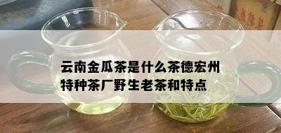 云南金瓜茶是什么茶德宏州特种茶厂野生老茶和特点