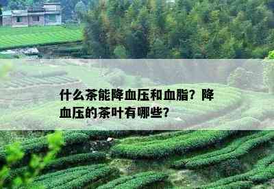 什么茶能降血压和血脂？降血压的茶叶有哪些？