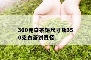 300克白茶饼尺寸及350克白茶饼直径