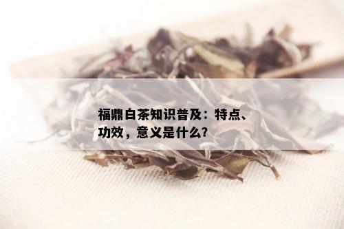 福鼎白茶知识普及：特点、功效，意义是什么？