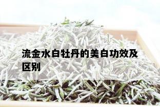 流金水白牡丹的美白功效及区别