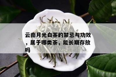 云南月光白茶的禁忌与功效，属于哪类茶，能长期存放吗