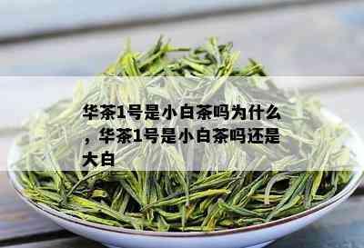 华茶1号是小白茶吗为什么，华茶1号是小白茶吗还是大白