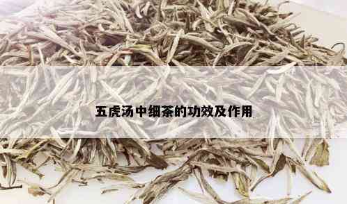 五虎汤中细茶的功效及作用