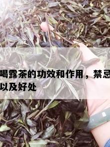 喝露茶的功效和作用，禁忌以及好处