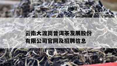 云南大渡岗普洱茶发展股份有限公司官网及招聘信息