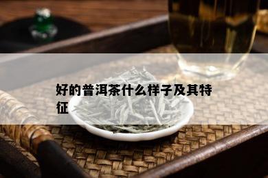 好的普洱茶什么样子及其特征