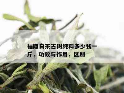 福鼎白茶古树纯料多少钱一斤，功效与作用，区别