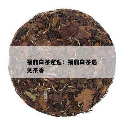 福鼎白茶邂逅：福鼎白茶遇见茶香