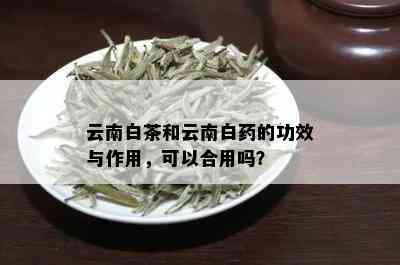 云南白茶和云南白的功效与作用，可以合用吗？