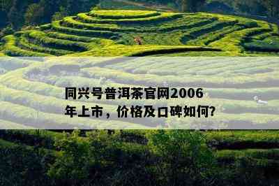 同兴号普洱茶官网2006年上市，价格及口碑如何？