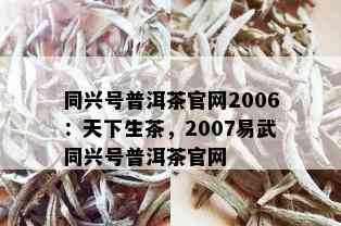 同兴号普洱茶官网2006：天下生茶，2007易武同兴号普洱茶官网