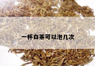 一杯白茶可以泡几次