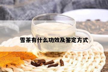 雪茶有什么功效及鉴定方式