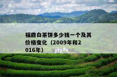 福鼎白茶饼多少钱一个及其价格变化（2009年和2016年）