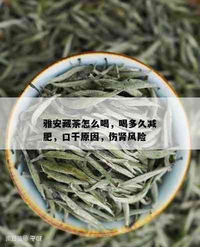 雅安藏茶怎么喝，喝多久减肥，口干原因，伤肾风险