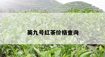 英九号红茶价格查询