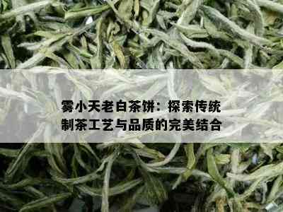 雾小天老白茶饼：探索传统制茶工艺与品质的完美结合