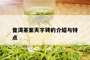 普洱茶紫天字砖的介绍与特点