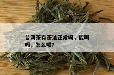 普洱茶有茶渣正常吗，能喝吗，怎么喝？