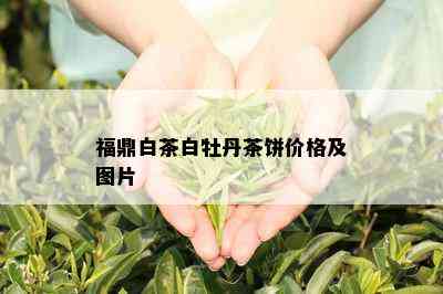 福鼎白茶白牡丹茶饼价格及图片