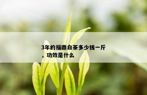 3年的福鼎白茶多少钱一斤，功效是什么